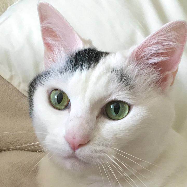 1b2874f0 1fd9 4e5c 9acc 0cf9292062b0 1598505123770