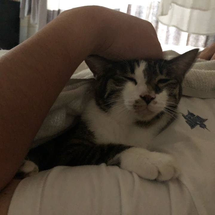 1b28a0ea 4a72 408e afb4 302468bb7513 1564231634305