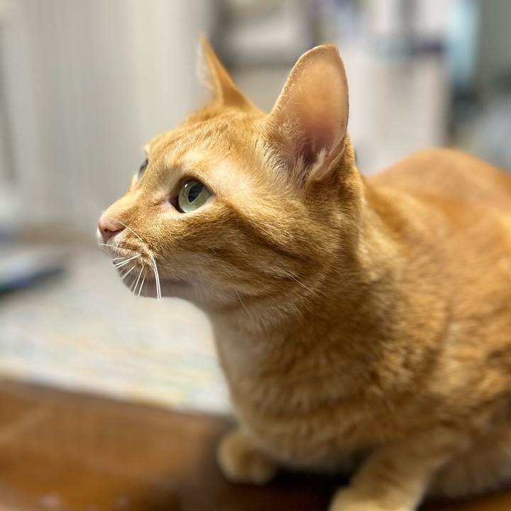 1b28e2cc ef64 449c a43d 9fc8f97cbf28 1756329163616