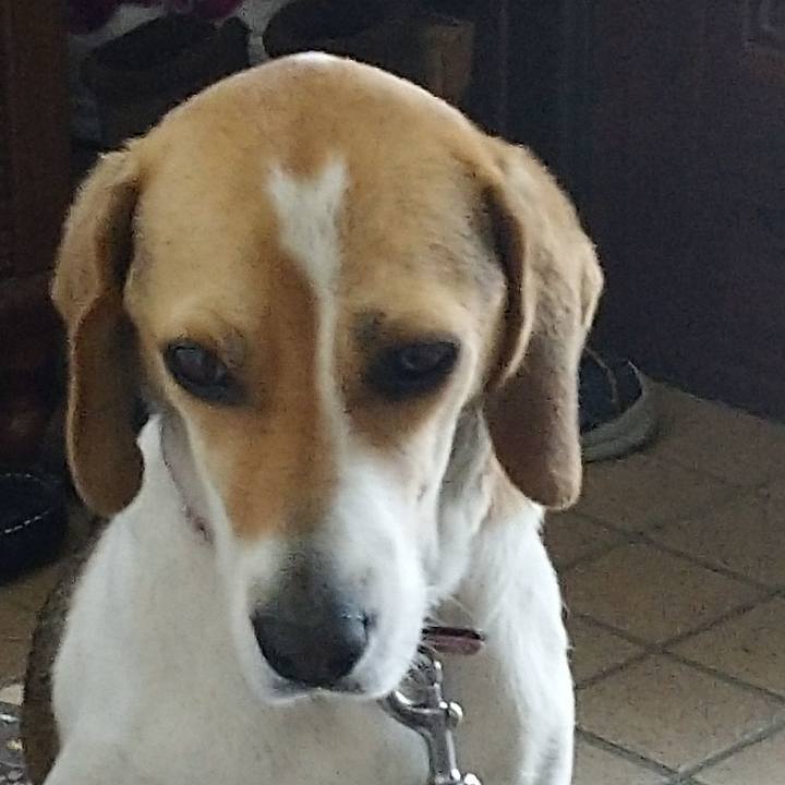 1b28e7a3 768a 4bea ae2e f292a1d652d6 1592967860976