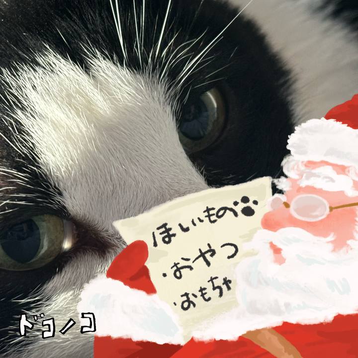 1b2909dc bb64 4668 ad4e fc7c5fa21afc 1729405510593