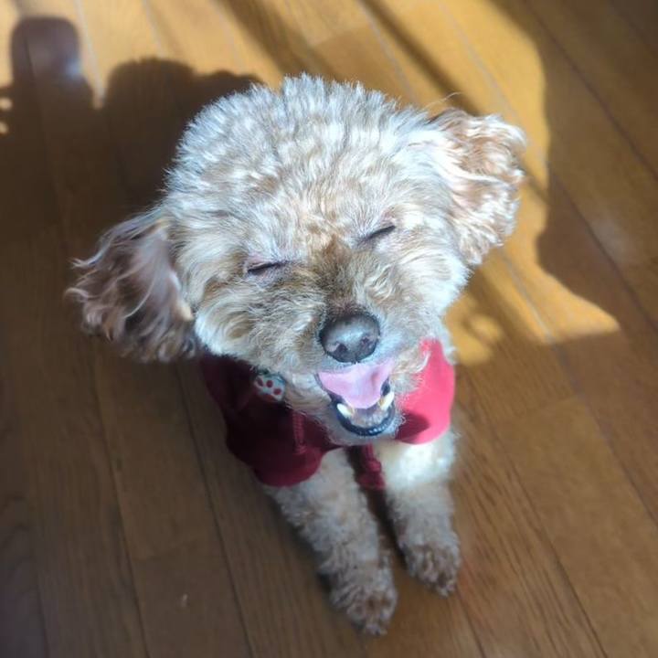 1b293a13 7f90 4a37 83e5 5c1d2a83545c 1768531242961