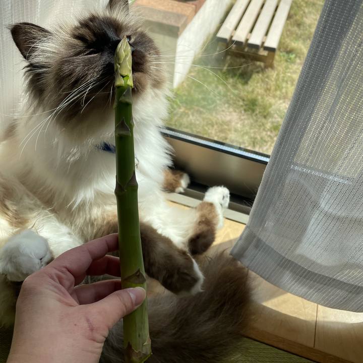 1b293dad bce3 4d02 a62b e94036c20c3d 1616810865423