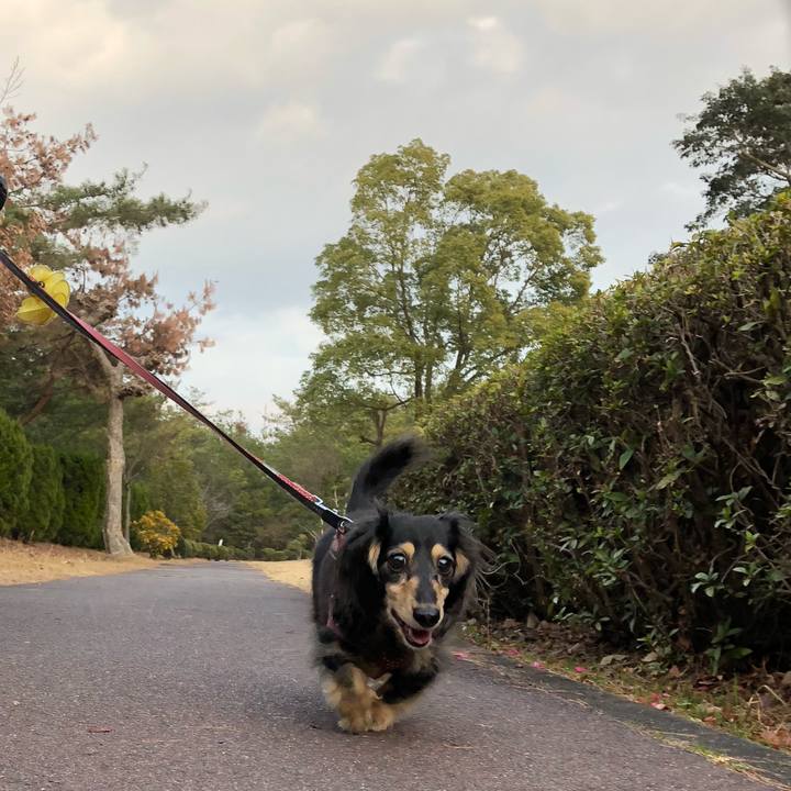 1b296b76 5d6c 4771 af54 74153bfaa49e 1580719882186