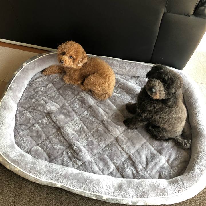 1b2982f6 f7db 4687 9802 fd1ee7037f51 1584264700932