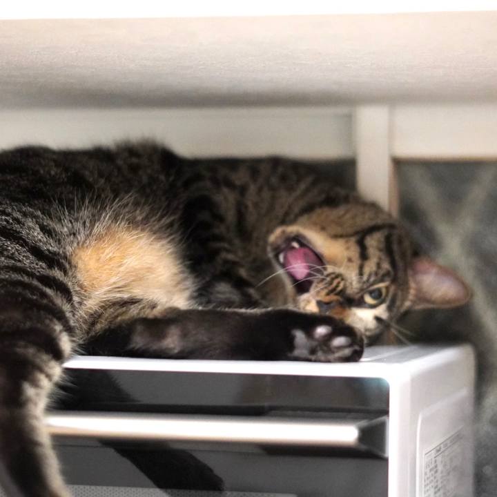 1b29a81f 17db 4719 9ad2 ee4f90674d1e 1661945857384