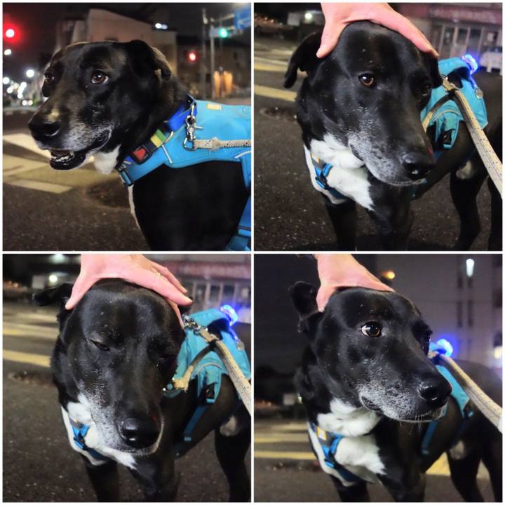 1b29a825 4fcb 45a1 8ae4 667f0389dcc6 1682508026590