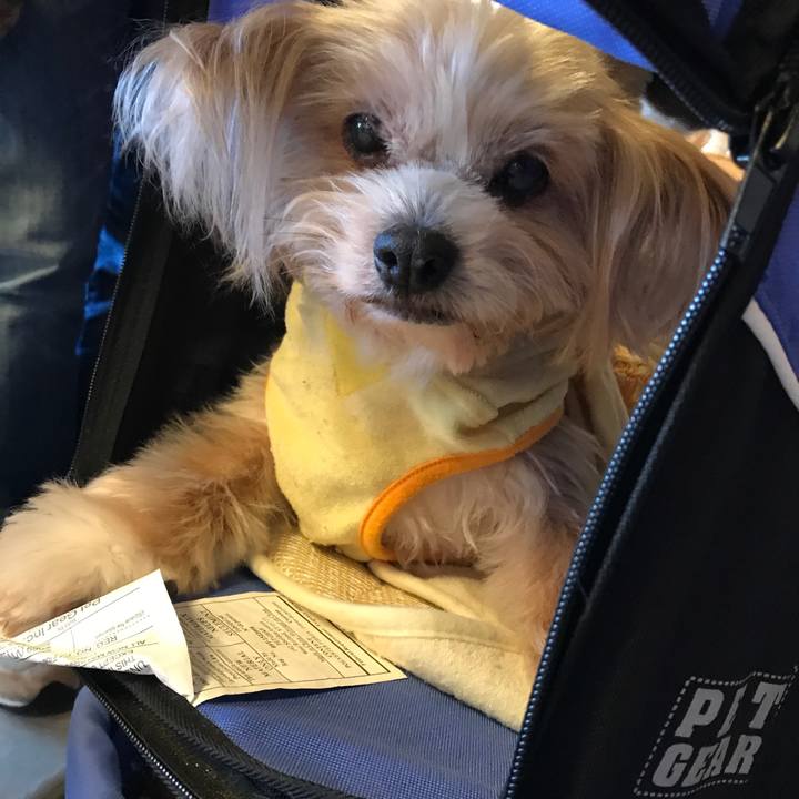 1b29e2da 7ddd 4d25 8ab2 ce72b6dd68fd 1530291407315