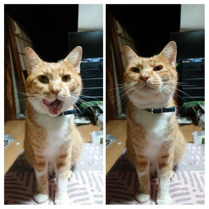 1b2a0ebc 1e3b 4ef2 9443 05f8bed9bb88 1602189064957