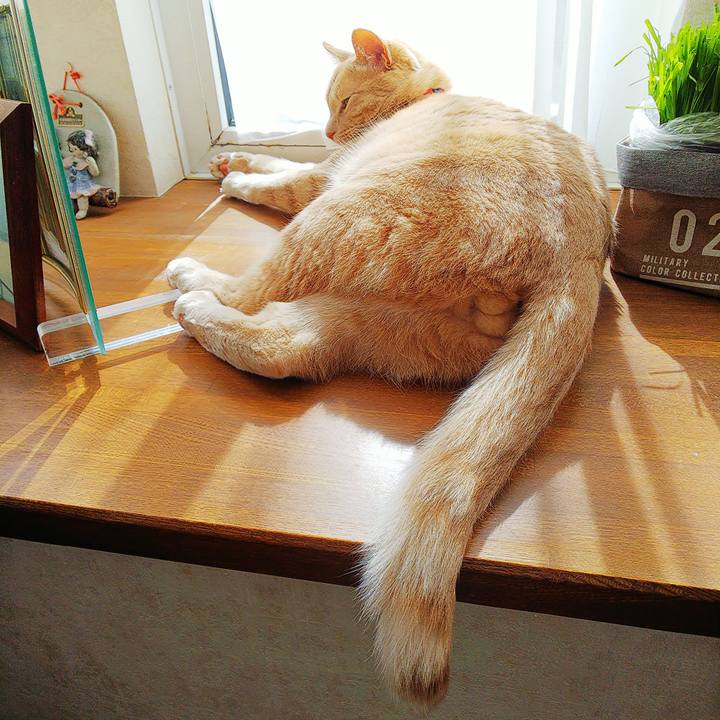 1b2a2e9a 8820 41fe 9821 50eb116a2407 1585441368295