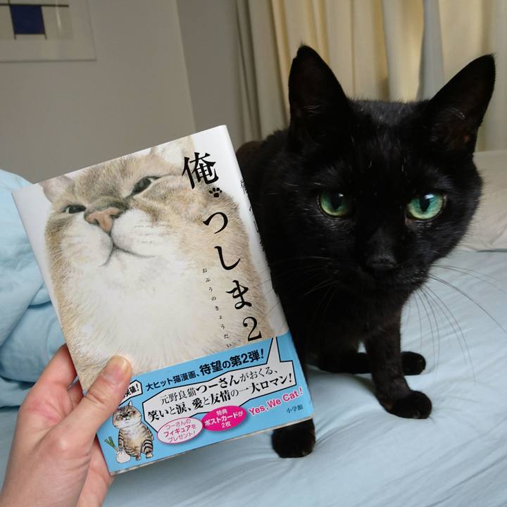 1b2a5f93 2292 4538 a9ae 038d70a31257 1559892718720