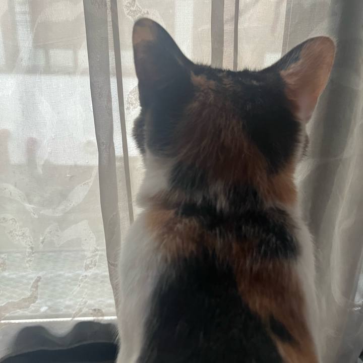 1b2a6814 7bc4 49dd 9cdc f6204242fb83 1755346600661