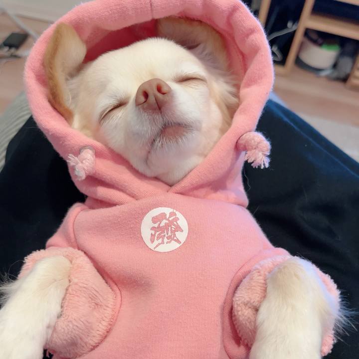 1b2a9a46 5b05 425c b27e 3760085c58d6 1701691235124