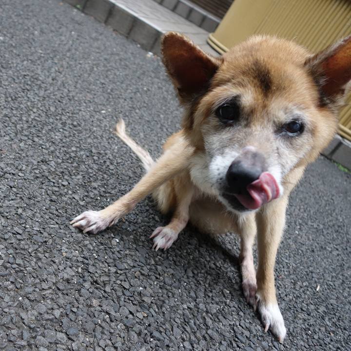 1b2ac55c ae97 40e7 9218 b9a1f91037b9 1568334679286