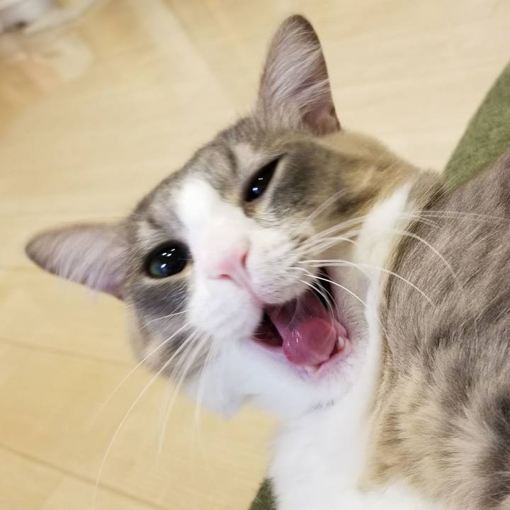 1b2ad887 427e 4ef6 a7e8 ade09b893434 1523968194237