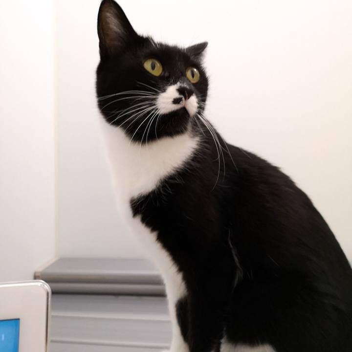 1b2adfab ea4b 461f 92ec 9522692de316 1549642078394