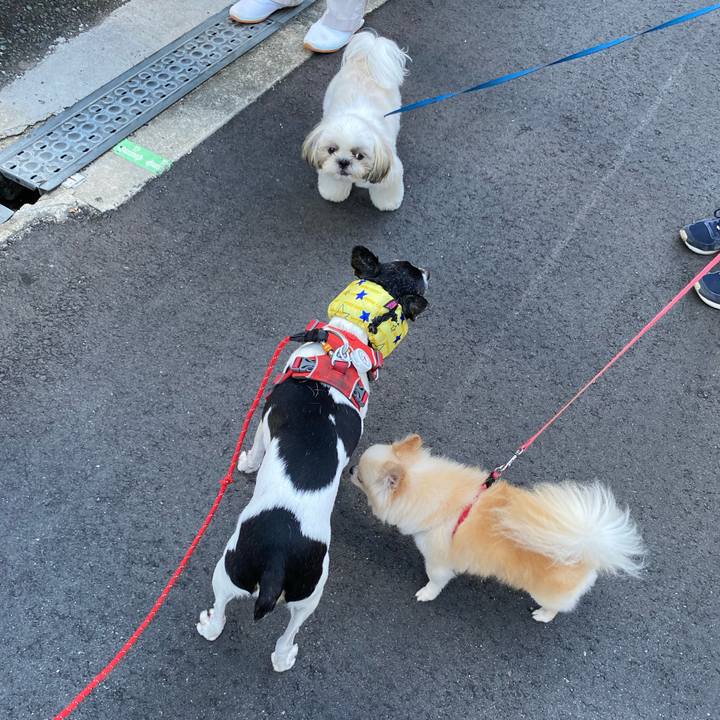 1b2b154b 9e34 4cf7 bfc0 625e88f704af 1628115352486