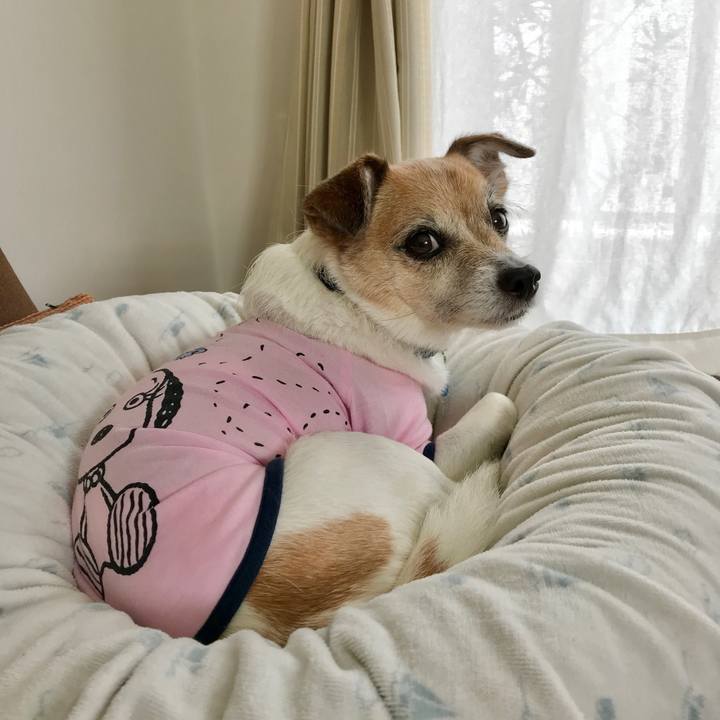 1b2b3394 0abc 4f5b a0b4 f5bb7e23b616 1622007629166