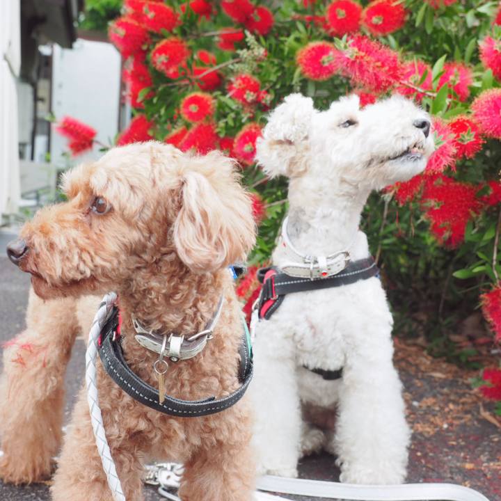 1b2b6c51 0e75 4751 bc05 2753364e8b72 1559438266162