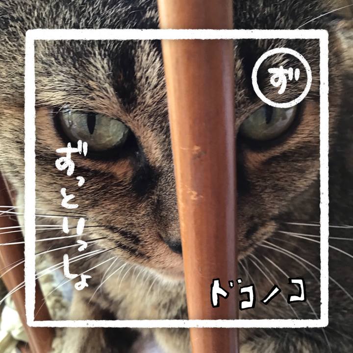 1b2b7ebf 7d26 4a3f bf0f b8c799b7e2f2 1685962552168