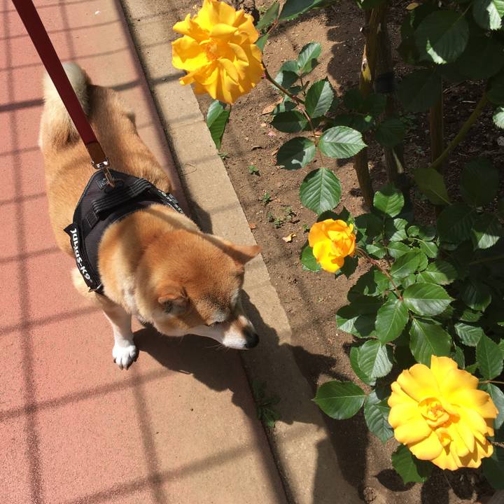 1b2b9afc 6666 4e9b bff0 de5619a684ae 1620096438595