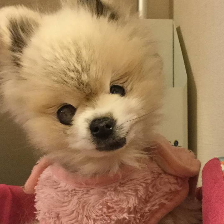 1b2ba24e 2f3b 4123 ba89 db341d46ba44 1549466038064