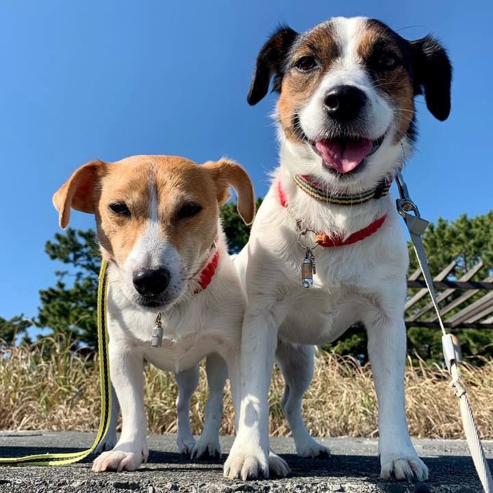 1b2bb760 3634 46fd a48b 924e25c037ed 1605339626153