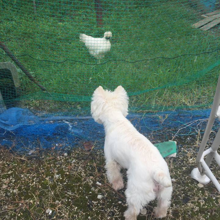 1b2c15f6 f1ae 44dd afa3 9a1ba56241fa 1531123264388