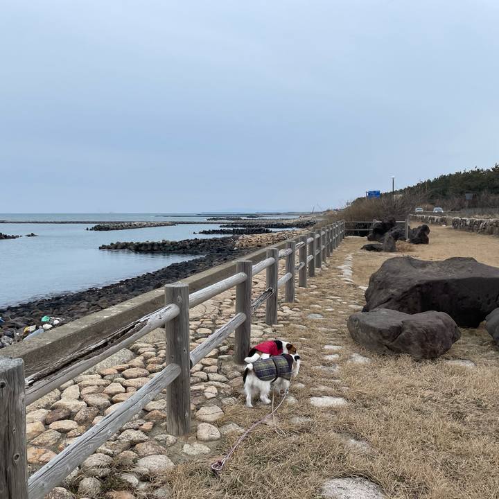 1b2c191b 07bd 4e2b 8124 1a8b50921454 1644449203379