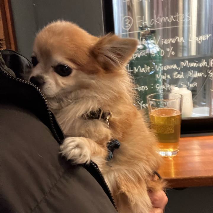 1b2c79db 41bd 4def b4ea 0e05ee1a8abd 1765532905141