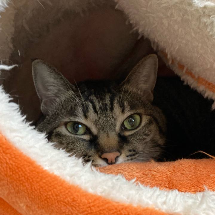 1b2c83b6 cc2c 4d6e a603 2065506495b5 1732332820920