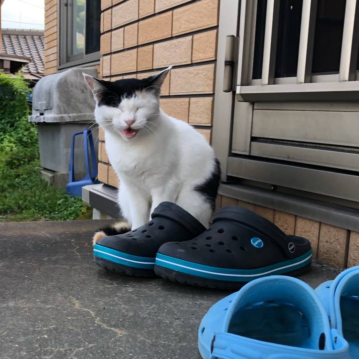 1b2cb934 c1f5 4b68 af66 aea178d9b727 1600163735502