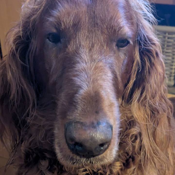 1b2cf368 9e7d 433e ae97 9b22de3b8b35 1757024516601