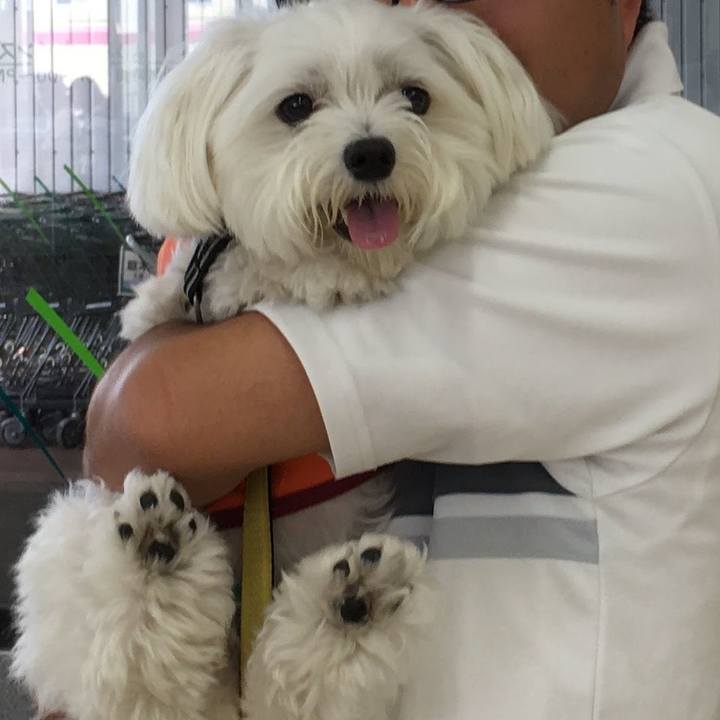 1b2cfae2 64d4 4d1b 9352 413bc42cbe34 1751454442370