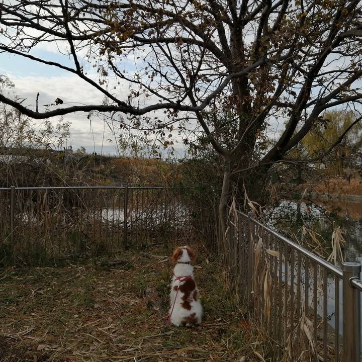 1b2d4775 8837 4881 8964 e0f6f39fe2e3 1609068202941