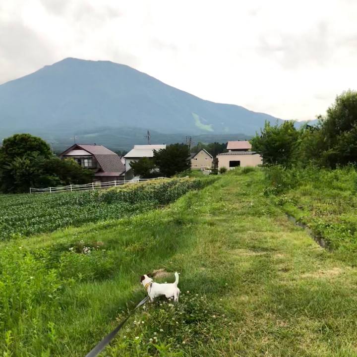 1b2d6450 e956 487d 9e4b 5333e1a3f6ad 1529754223732