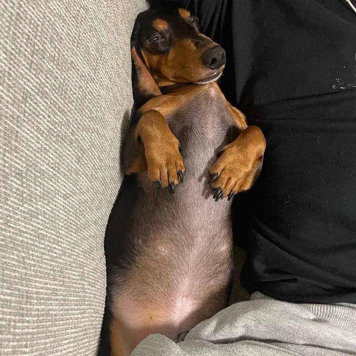 1b2da868 05ff 4e20 a51f 607d738cf36c 1717815880291