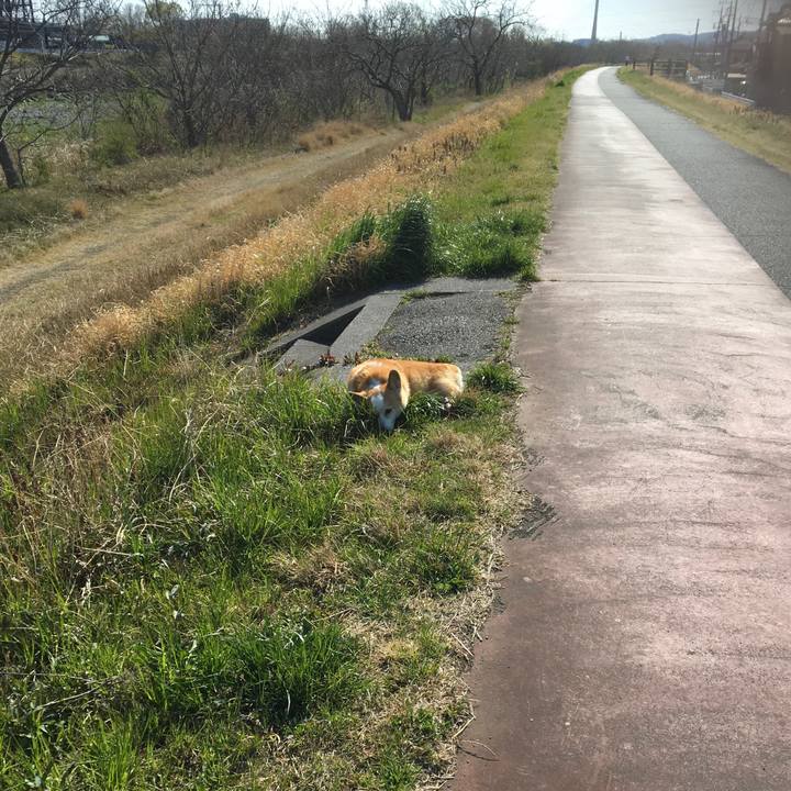 1b2db792 7657 4f22 9059 45ed158e9a8a 1554274448950