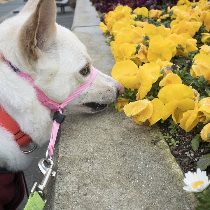 1b2dde42 eb21 4d5f a8b1 bdcce5013848 1549927781881