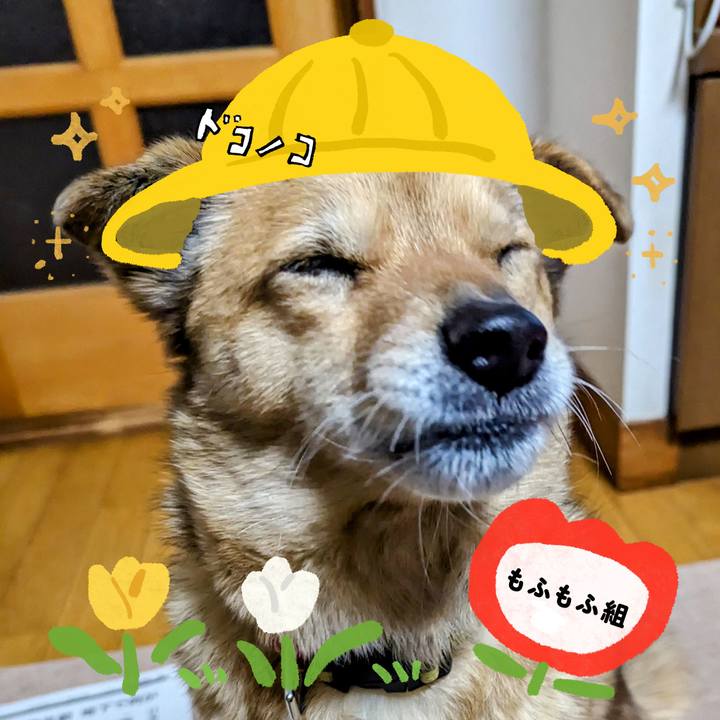 1b2dedb9 b607 4957 8e2e 8ce37e3b408b 1712666433093