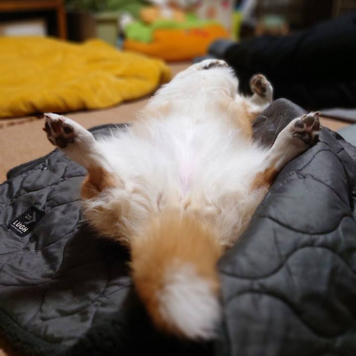 1b2e00f6 533e 47a1 923f 04b00fe5c351 1775400141310