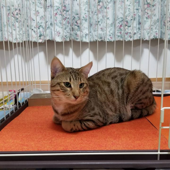 1b2e4361 79e8 4fb6 9949 2aa04fdf731a 1582634496486