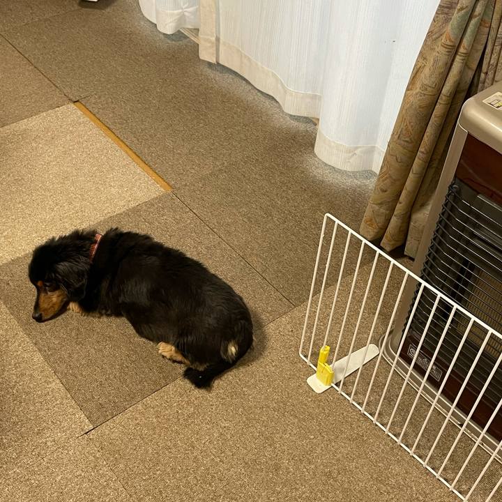 1b2e57d2 1e8f 4a75 942f fe8c97898602 1613944705618