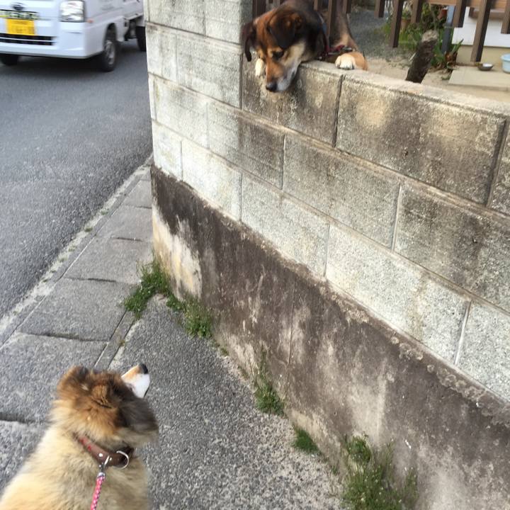 1b2eb901 3ed2 4172 af7d 6437b61e4c42 1565557605583