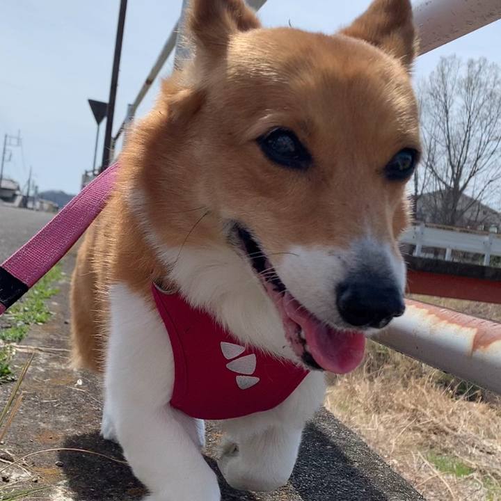 1b2eefdf 7973 4850 9402 f203e9c16b46 1679374281619