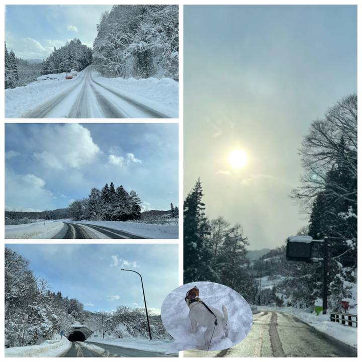 1b2ef7ce 2aec 46ee 8674 76517cdc331b 1642492018125