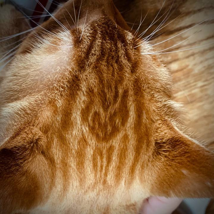 1b2f03e2 a872 4856 850b 9995e702d74d 1694907944880