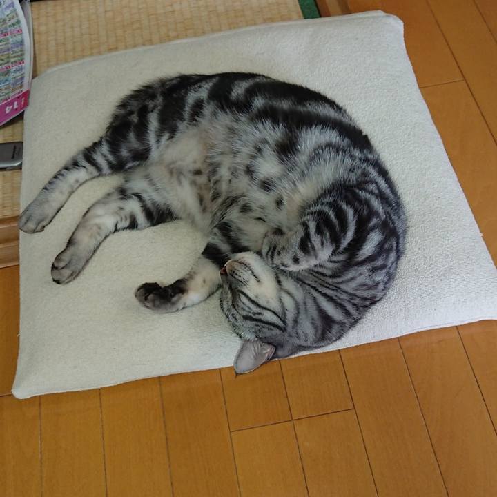 1b2f0770 f4ed 43d5 8236 b8255d2f9071 1557817396391