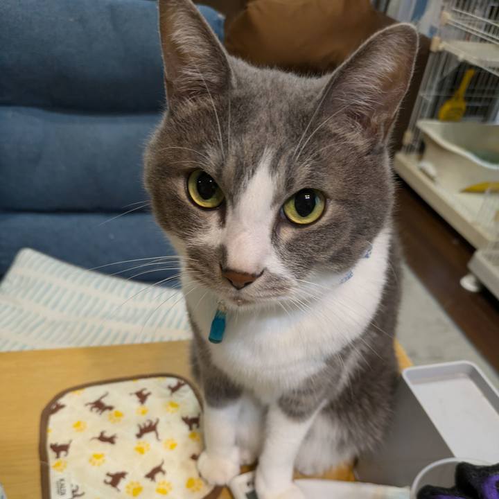 1b2f10b4 62e3 42df b723 1e543b38ac36 1727933664818