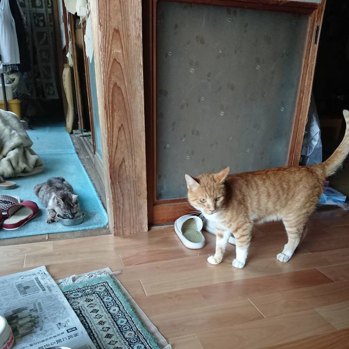 1b2f1a9e 0f6e 4802 9e7b 9e5c21d87453 1598429824099